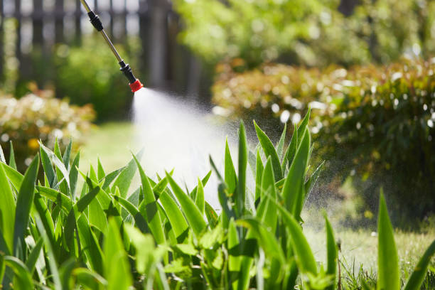 24/7 Emergency Wasp Removal experts in Fort McKinley, OH