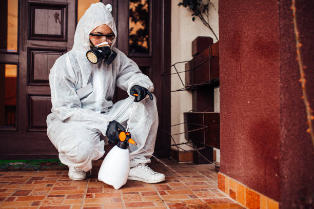 Reliable Wasp Removal contractor in Fort McKinley, OH by Show Me Pest Control